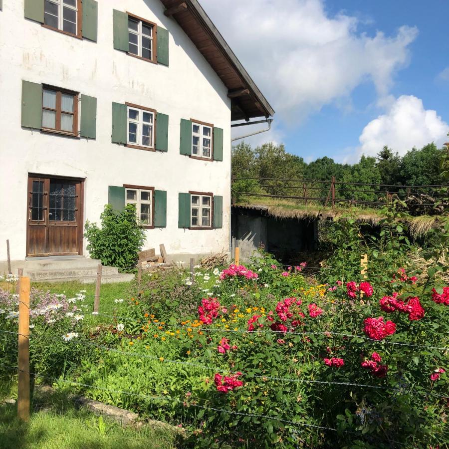 AllgäuLiebe Oy-Mittelberg Exterior foto